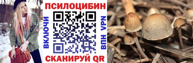 Купить  Зея  Псилоцибиновые грибы прущие грибы 