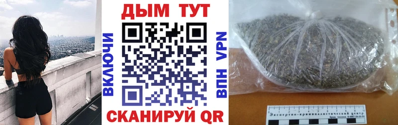 Канабис план  Купить где  Зея 